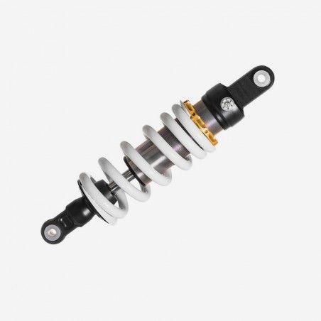 Complete Strut Assembly Shock