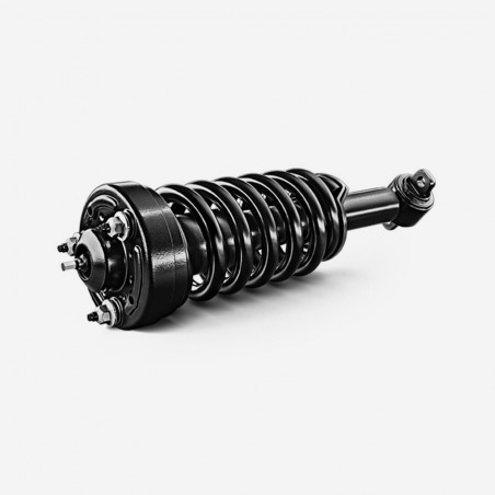 Complete Strut Assembly Shock