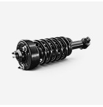 Complete Strut Assembly Shock